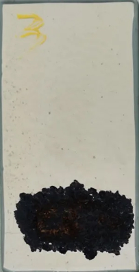 南海島礁暴曬12個(gè)月劃痕處的銹蝕